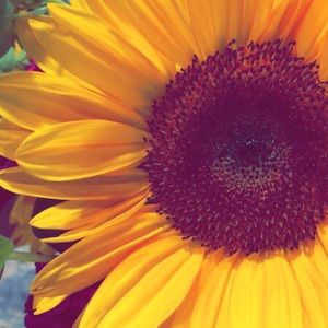 Meet your Posher, Tori